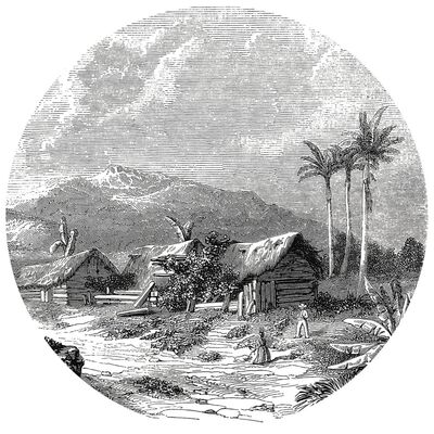 WallArt Tapetai Landscape of Guadeloupe, 190cm, apskriti