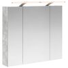 vidaXL Vonios veidrodžio spinta Betono pilka 80 x 14.5 x 70 cm