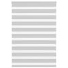 vidaXL zebrinės žaliuzės 100x150 cm audinio plotis 95,9 cm poliesteris
