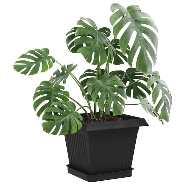 Rodomas prekėsprodukto vaizdas 3 i&scaron; 10