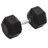 vidaXL Svarmuo, 30kg, ketus
