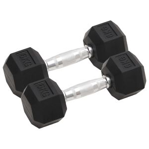 vidaXL Svarmenys, 2vnt., 6kg, viso liejinis geležis