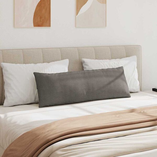 vidaXL Sofa Pagalvės 2 pcs Šviesiai pilka 120 x 40 cm