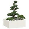 vidaXL Lovelis, baltos spalvos, 100x100x40cm, plienas