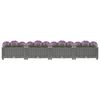 Prekės miniatiūra 7 i&scaron; 9