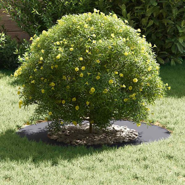 vidaXL tinkamas plok&scaron;čiam medžio žiedui Antracitas &Oslash;40 / 70 cm Plienas