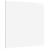 vidaXL Dekoratyvinės Panelės 12 vnt. Balta 30 x 30 x 0.27 cm