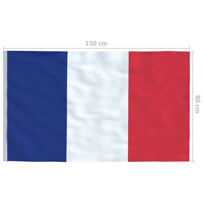 vidaXL Prancūzijos vėliava su stiebu, aliuminis, 6,2m