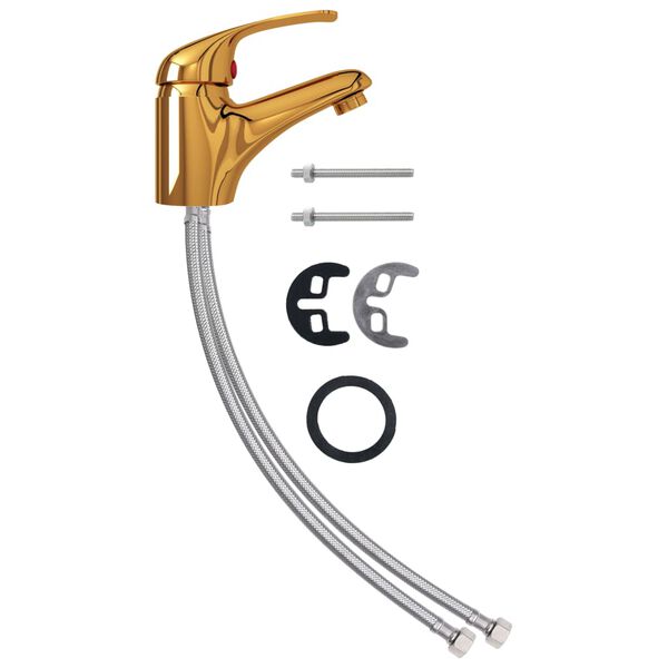 vidaXL Praustuvo maišytuvas, auksinės spalvos, 13x10cm