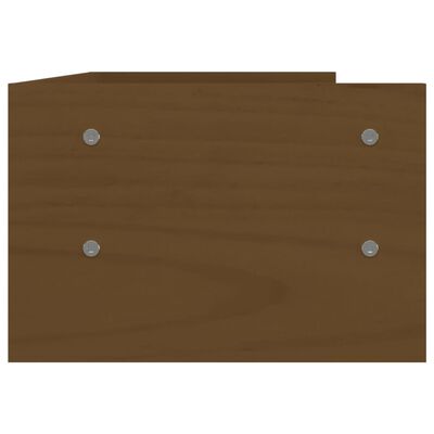 vidaXL Monitoriaus stovas, medaus rudas, 50x24x16cm, pušies masyvas