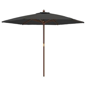 vidaXL Sodo skėtis su mediniu stulpu, antracito spalvos, 299x240cm