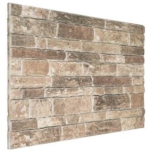 vidaXL Sienų plok&scaron;tės 10 vnt. 100 x 50 cm Įvairiaspalvis EPS putos