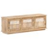 vidaXL Televizoriaus spintelė, 120x30x40cm, mango medienos masyvas