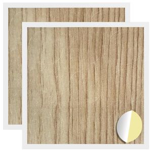 vidaXL Savistovaus Dangčio Varžtas 2 pcs Amatininkų ąžuolas