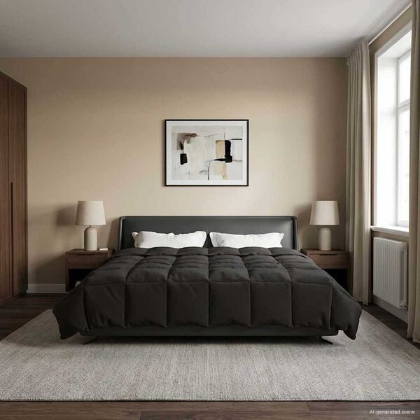 vidaXL Vasaros antklodė Tik&scaron;tas Antracitas 220 x 240 cm Mikropluo&scaron;tas