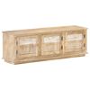 vidaXL Televizoriaus spintelė, 120x30x40cm, mango medienos masyvas