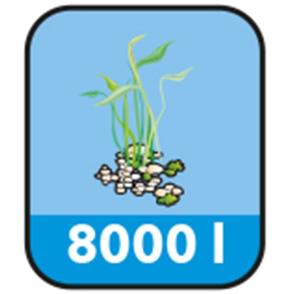 Ubbink Tvenkinio filtras "FiltraClear 8000 PlusSet" 1355167