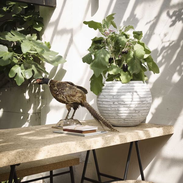 Capi Vazonas Nature Row, dramblio kaulo spalvos, 40x32cm, KRWI270