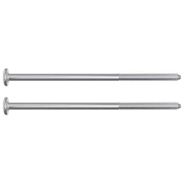 vidaXL Varžtas 12 pcs Sidabro M6 x 120 mm Plienas