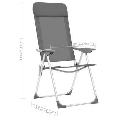 vidaXL Sulankstomos kempingo kėdės, 2 vnt., pilkos, aliuminis
