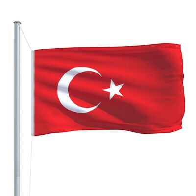 vidaXL Turkijos vėliava su stiebu, aliuminis, 6,2m