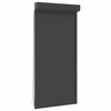 vidaXL Ritinys uždangalas Antracitas 100 x 210 cm