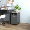 vidaXL &Scaron;oninė spintelė su ratukais, pilka, 33x38x60cm, MDP, blizgi