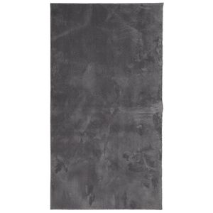 vidaXL Kilimas HUARTE, antracito, 60x110cm, trumpi &scaron;ereliai