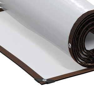 vidaXL Tarpas Skaidrus 2,5 x 1 m PE
