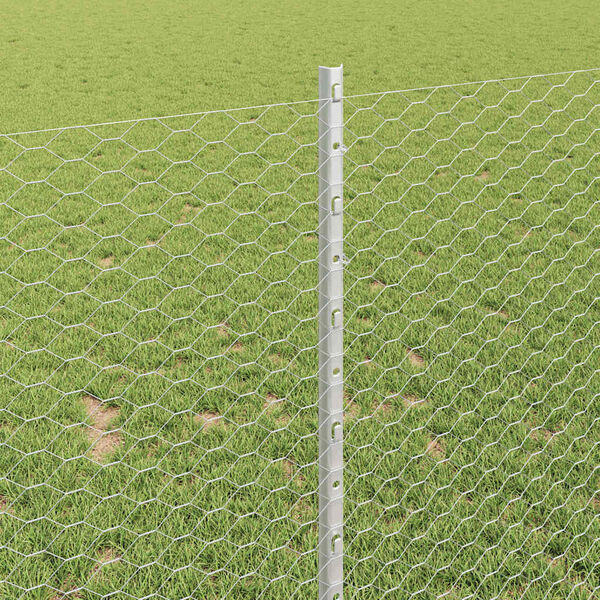 vidaXL Tvora su stulpais Sidabro 1 x 10 m Plienas