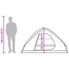 vidaXL Stovyklavimo palapinė, ruda, dvivietė, kupolinė