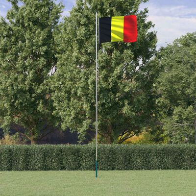 vidaXL Belgijos vėliava su stiebu, aliuminis, 6,23m