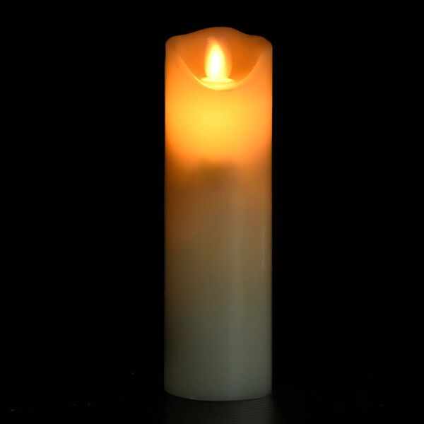 vidaXL Elektrinės LED žvakės su valdymo pulteliu, 5vnt., šiltos baltos