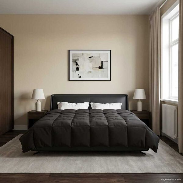 vidaXL Vasaros antklodė Tik&scaron;tas Antracitas 220 x 260 cm Mikropluo&scaron;tas