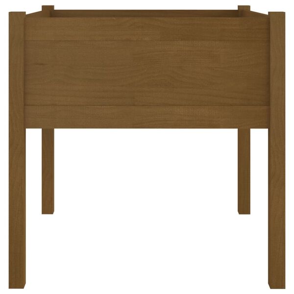 vidaXL Sodo lovelis, medaus rudas, 70x70x70cm, pušies masyvas