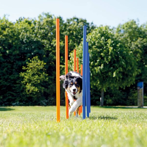 TRIXIE Agility Slalomo treniruoklis, 12 stulpų, 115 cm, plastikas, 3206