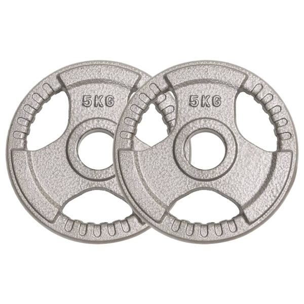 vidaXL Olimpiniai svoriai, 2vnt., 10kg, ketus