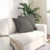 vidaXL Sofa Pagalvės 2 pcs Šviesiai pilka 45 x 45 cm