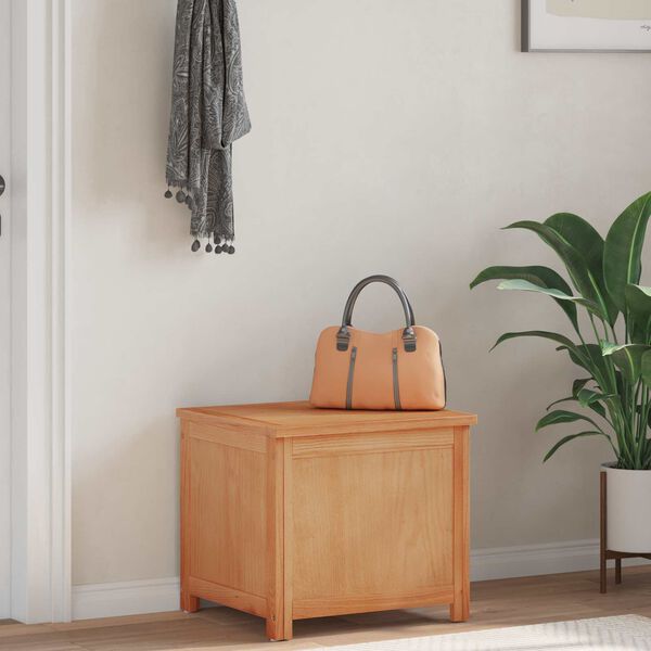 vidaXL Saugojimo dėžė su saugykla Natūrali 50 x 45 x 45 cm