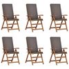 vidaXL Sodo Kėdė 6 pcs Ruda ir pilka 57 x 71.5 x 104 cm