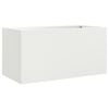 vidaXL Lovelis, baltos spalvos, 62x30x29cm, plienas
