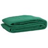 vidaXL Tinklas priekabai, žalios spalvos, 2,5x4m, HDPE