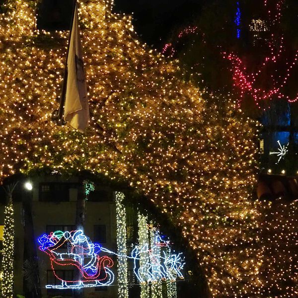 vidaXL LED tinklas Tamsiai žalia