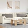 vidaXL Sofa Pagalvės 2 pcs Taupe 120 x 40 cm audinys