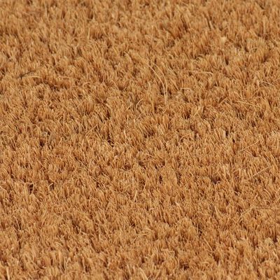 vidaXL Durų kilimėliai, 5vnt., natūralūs, 40x60cm, kokoso pluoštas