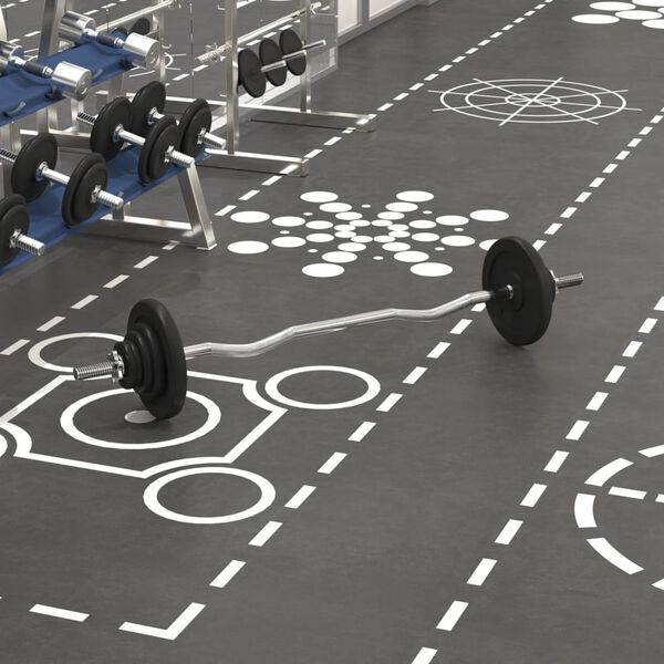 vidaXL &Scaron;tangos su svoriais rinkinys, 30kg, ketus ir chromuotas plienas