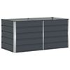 vidaXL Lovelis Antracitas 160 x 80 x 75 cm Plienas