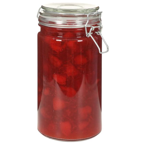 vidaXL Stiklainiai su užspaudžiamais dangteliais, 6 vnt., 1000 ml