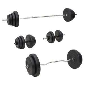 vidaXL &Scaron;tangos ir svarmenų su svoriais rinkinys, 120kg
