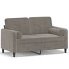 vidaXL Dvivietė sofa su pagalvėmis, &scaron;viesiai pilka, 120cm, aksomas